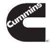 Cummins Untitled 1