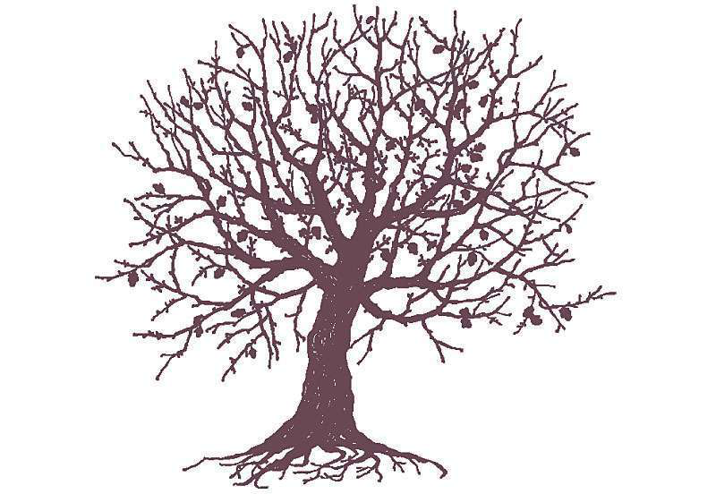 Tree Untitled 1
