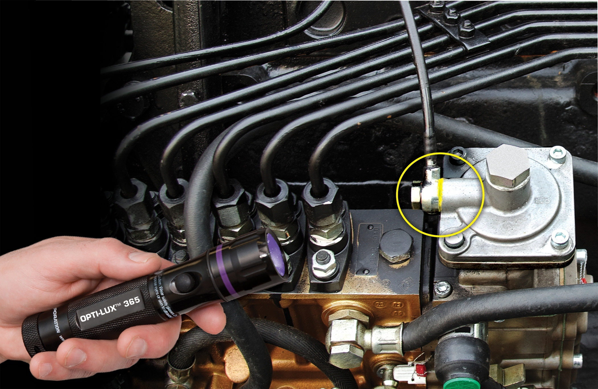 TP-8691 OPTI-LUX 365 app shot