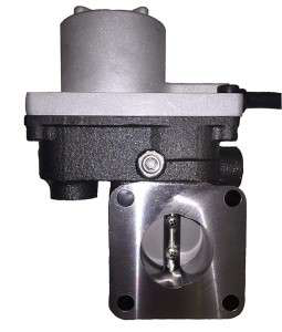 HEGR-Flap-Valve-2016-03-31-08-56-255x300