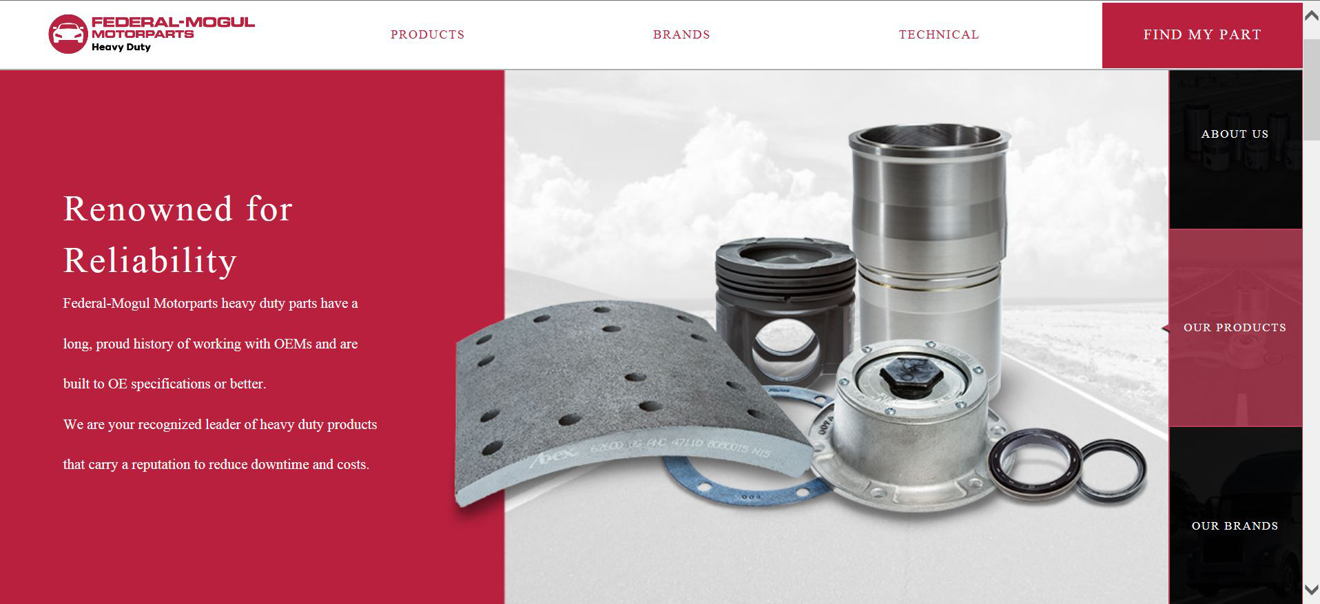 Federal Mogul website