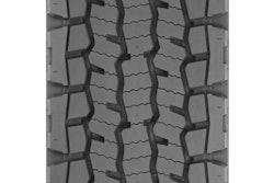 cutmrtmdxdn2 jpg-189665-featborder