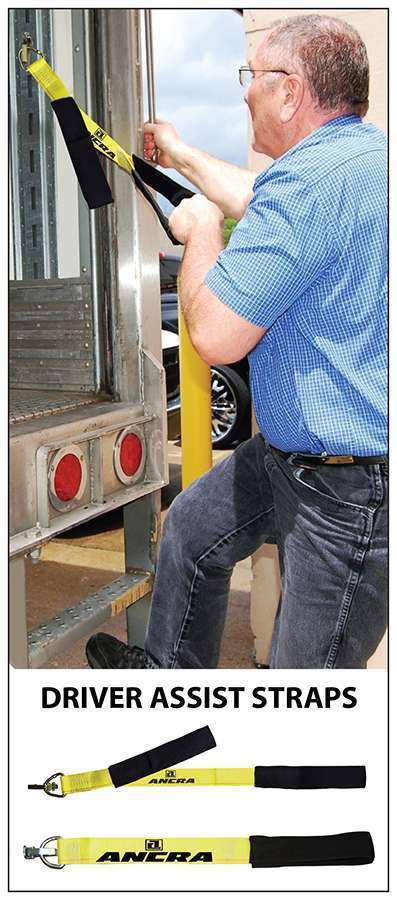 Truck driver assist straps