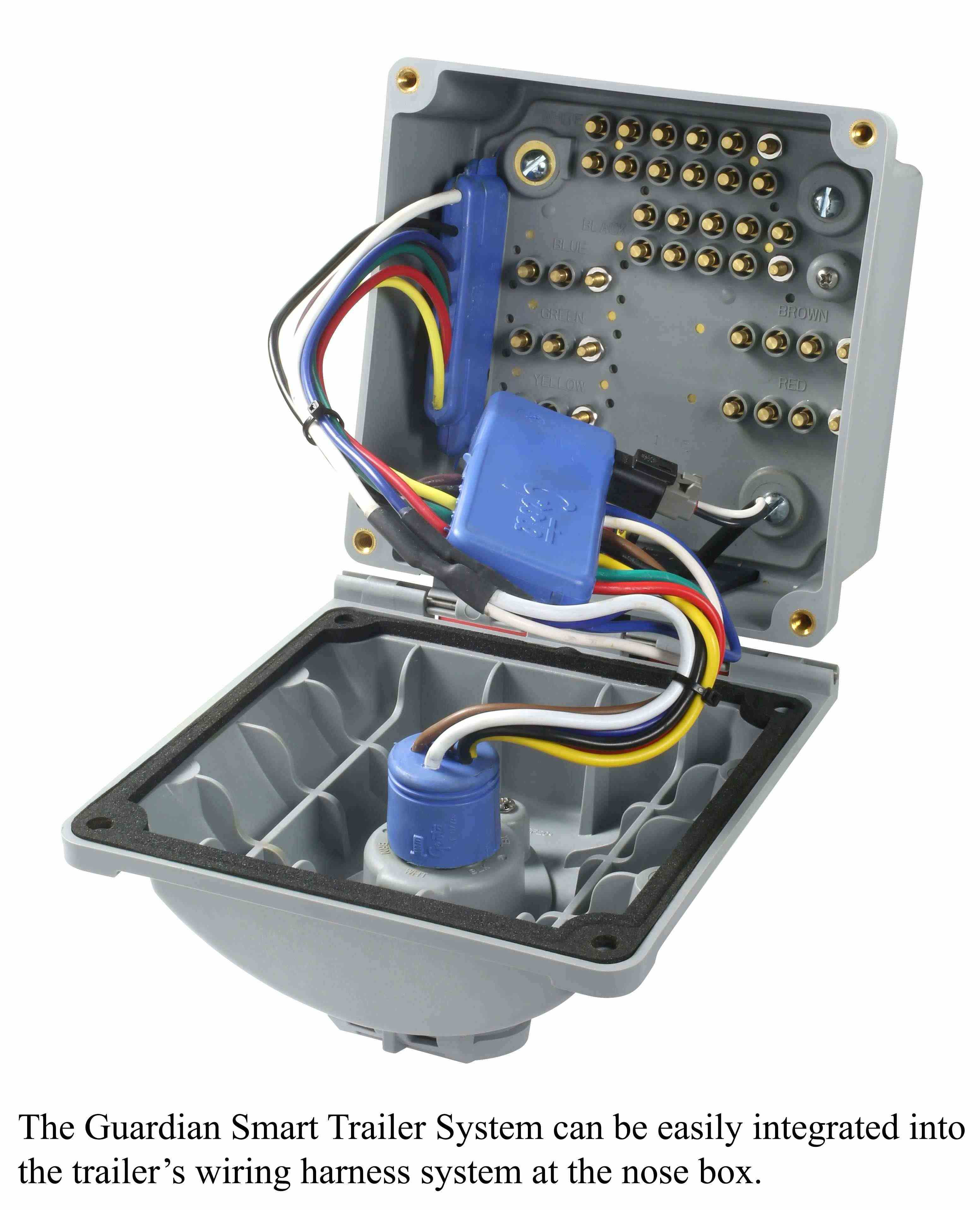 Lighting Alert System