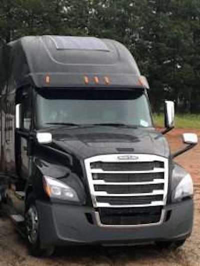 E Now Solar Panels 225x300