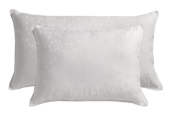 Lippertsomnumpillows-min