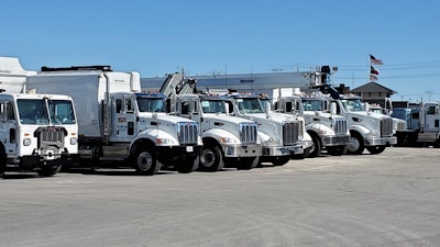 Line of parked white trucks