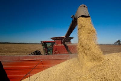 soybeans being dumped into large bin