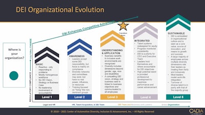 DEI organizational evolution