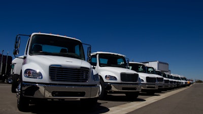 Identical trucks on lot