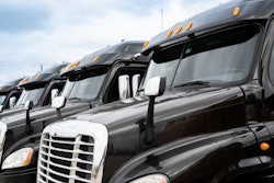 Row of similar black tractors