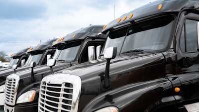 Row of similar black tractors