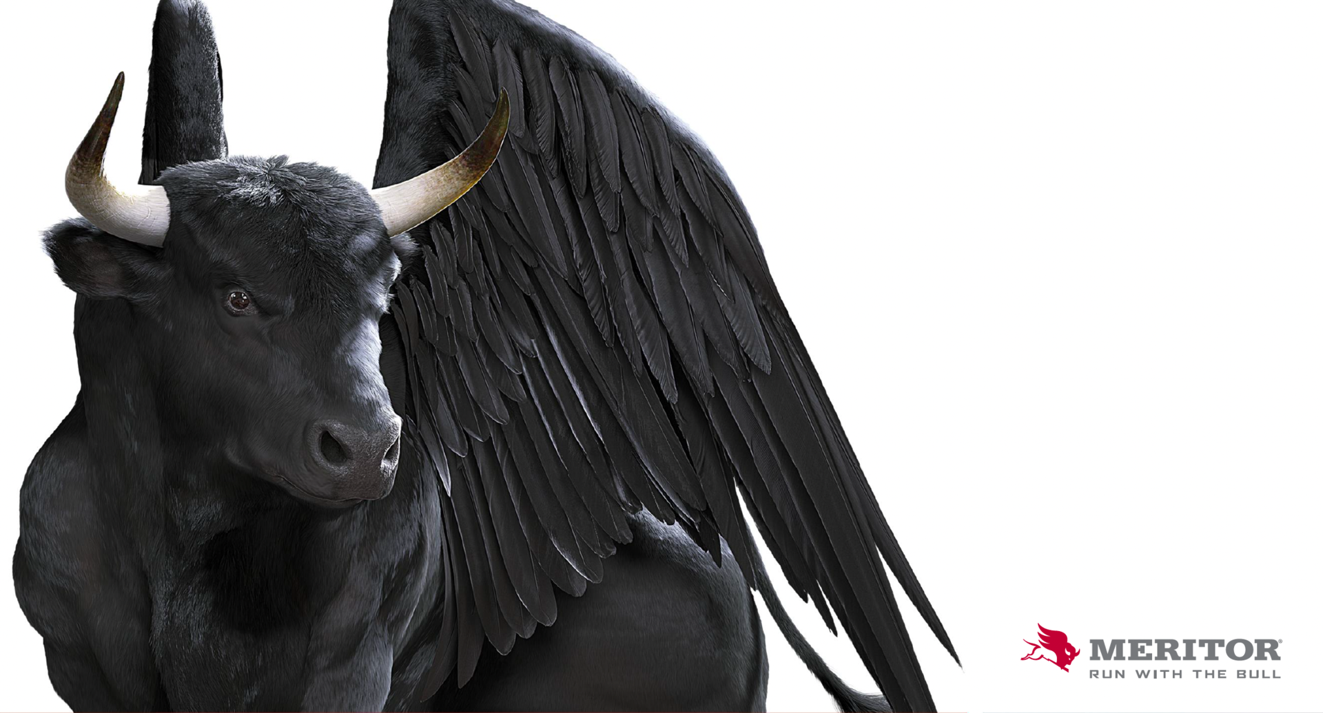 Meritor's bull with wings image
