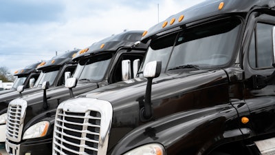 Row of similar black tractors