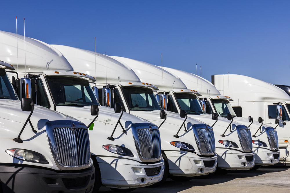 New white trucks lined up parked in lot.