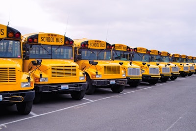 School buses lined up in a parking lot
