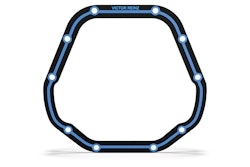 A black and blue Victor Reinz reusable differential gasket.