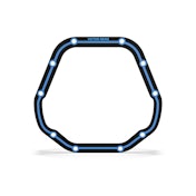 A black and blue Victor Reinz reusable differential gasket.