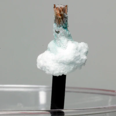 A close up of corrosion from salt water up a wire