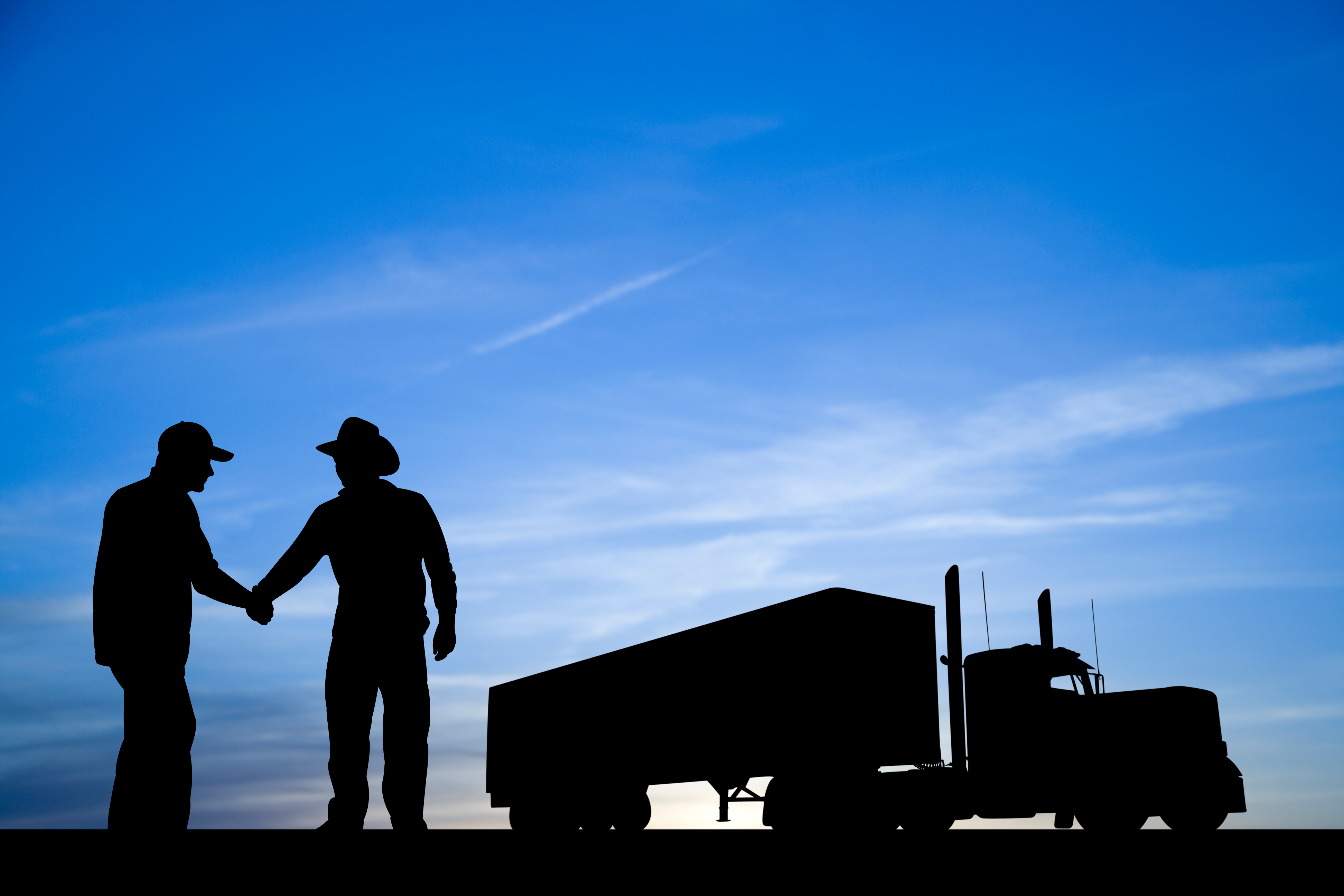 Handshake silhouette