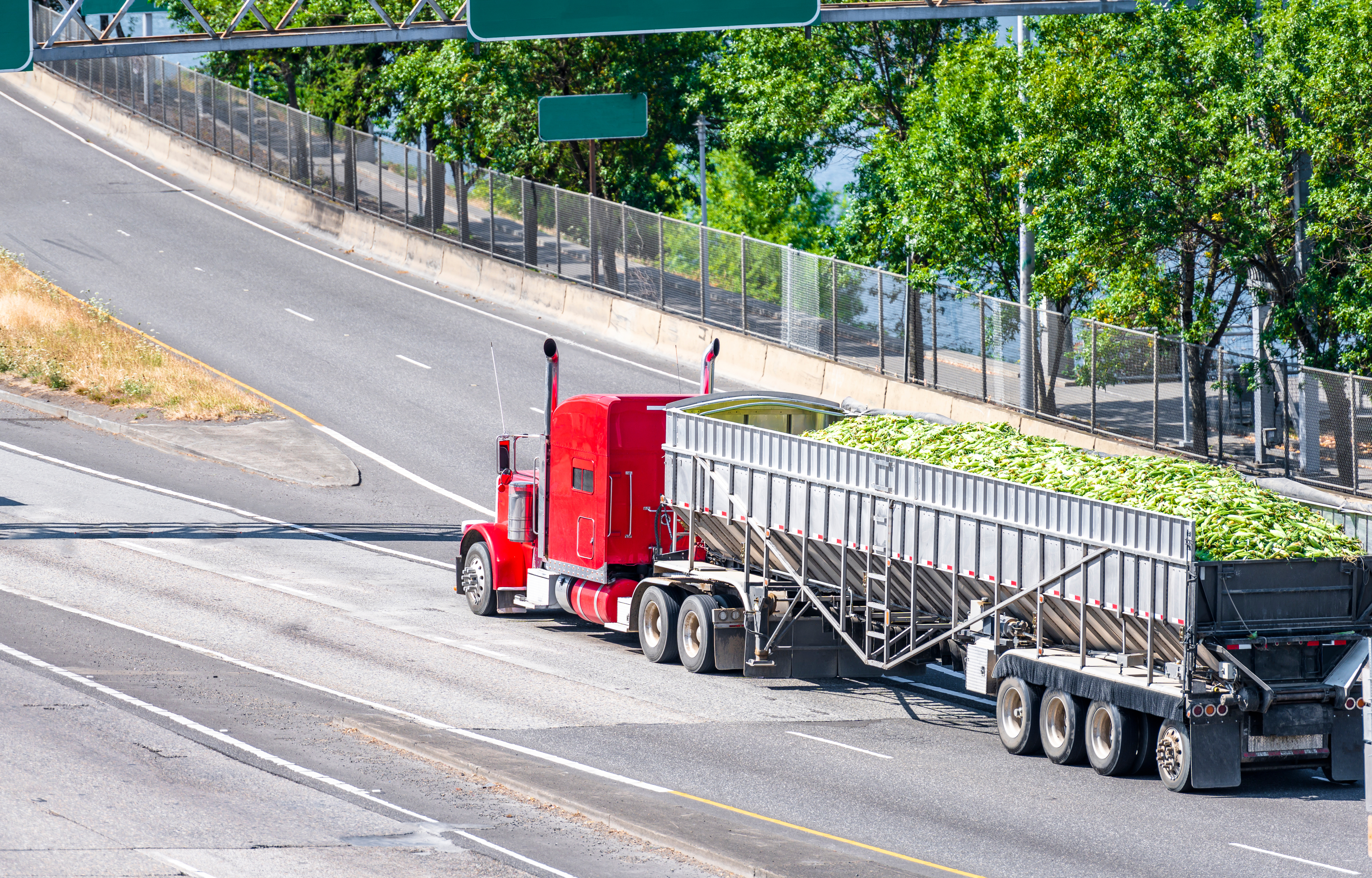 red semi truck hauling a bulk load of corn