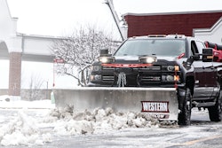 Western Products image