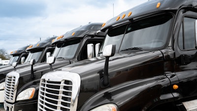 Row of similar black tractors