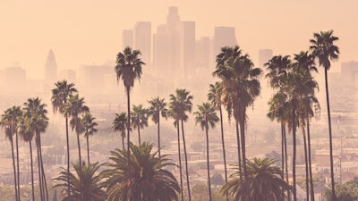 Los Angeles distance view with smog and palm trees