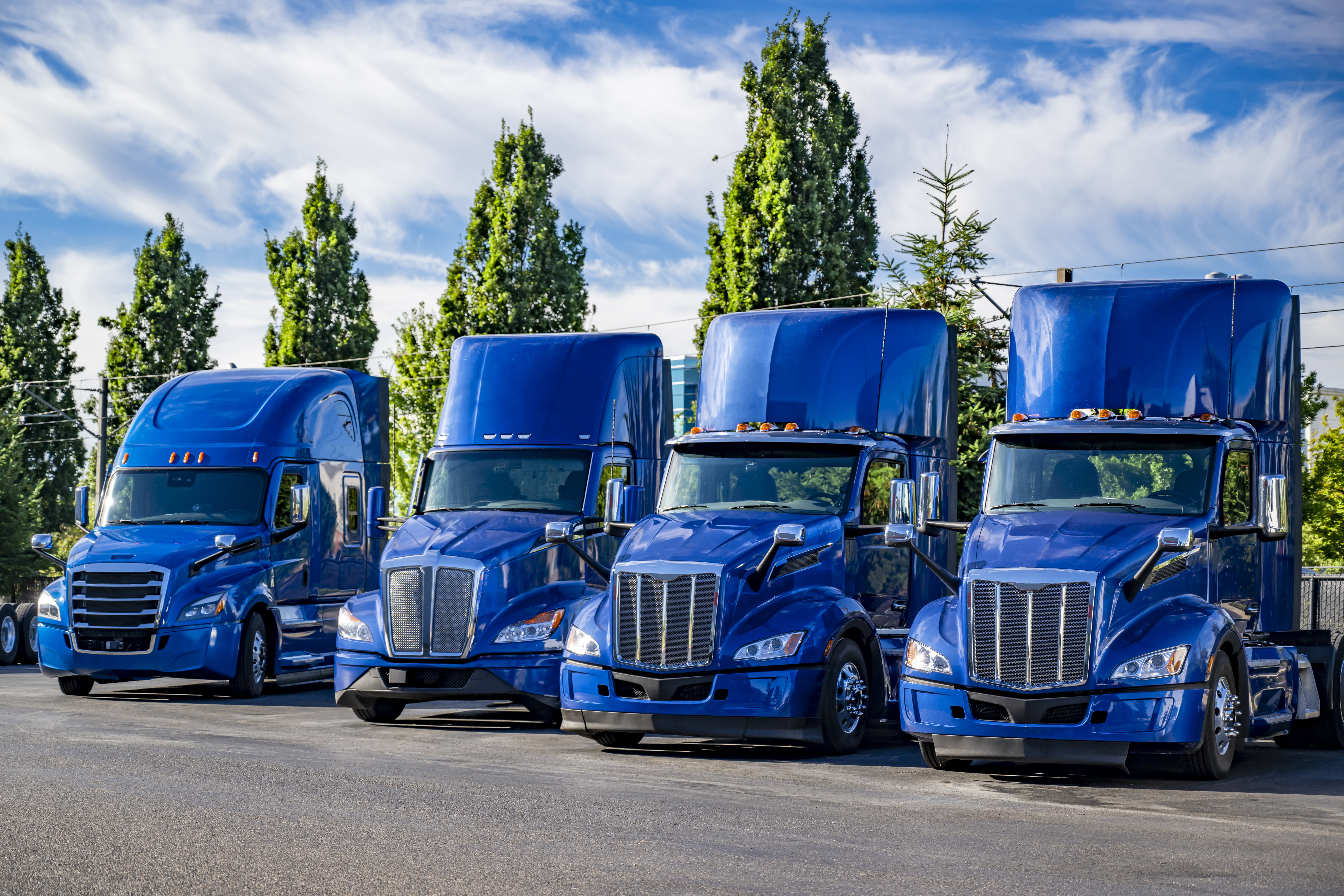 Blue Trucks Of Multiple Brands