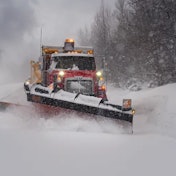 Csm Wst Val Racine De Face 4x6 C Sonya Messier Copy B74c182764 Copy