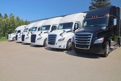 White And Black Used Trucks In Row