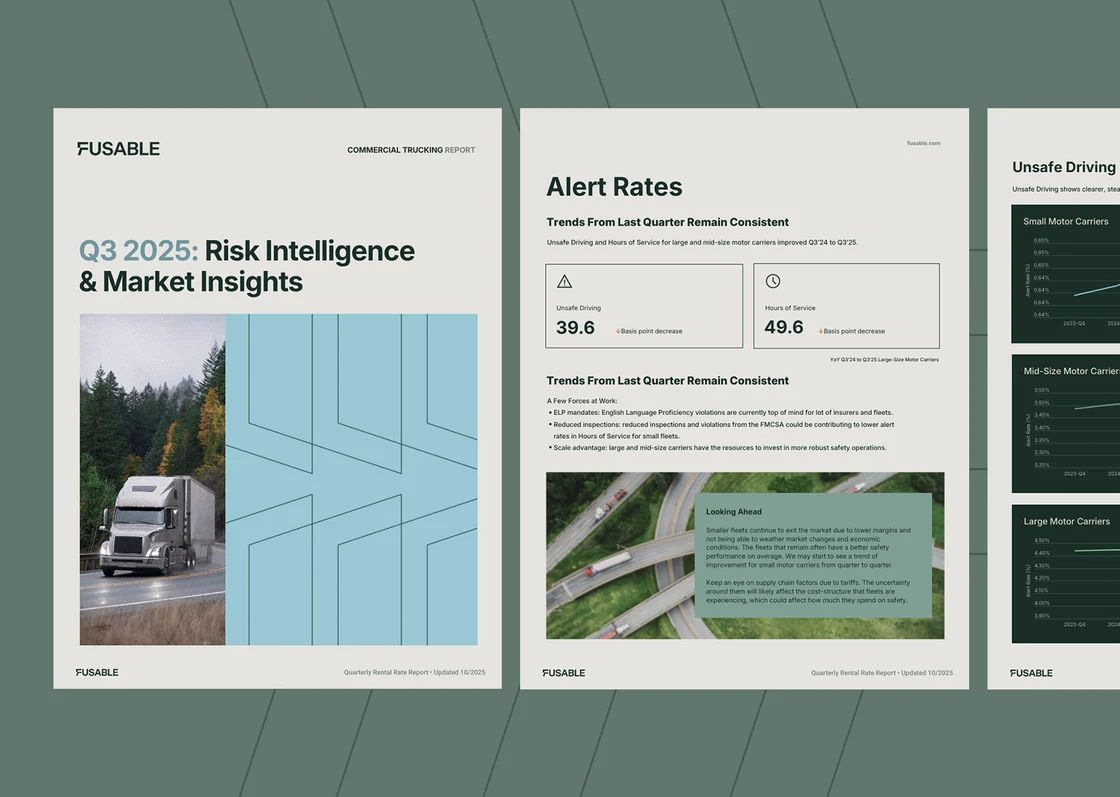 Risk Report Header 11 25