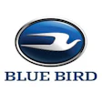 Blue Bird
