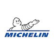 Michelin Corporate Logo Color