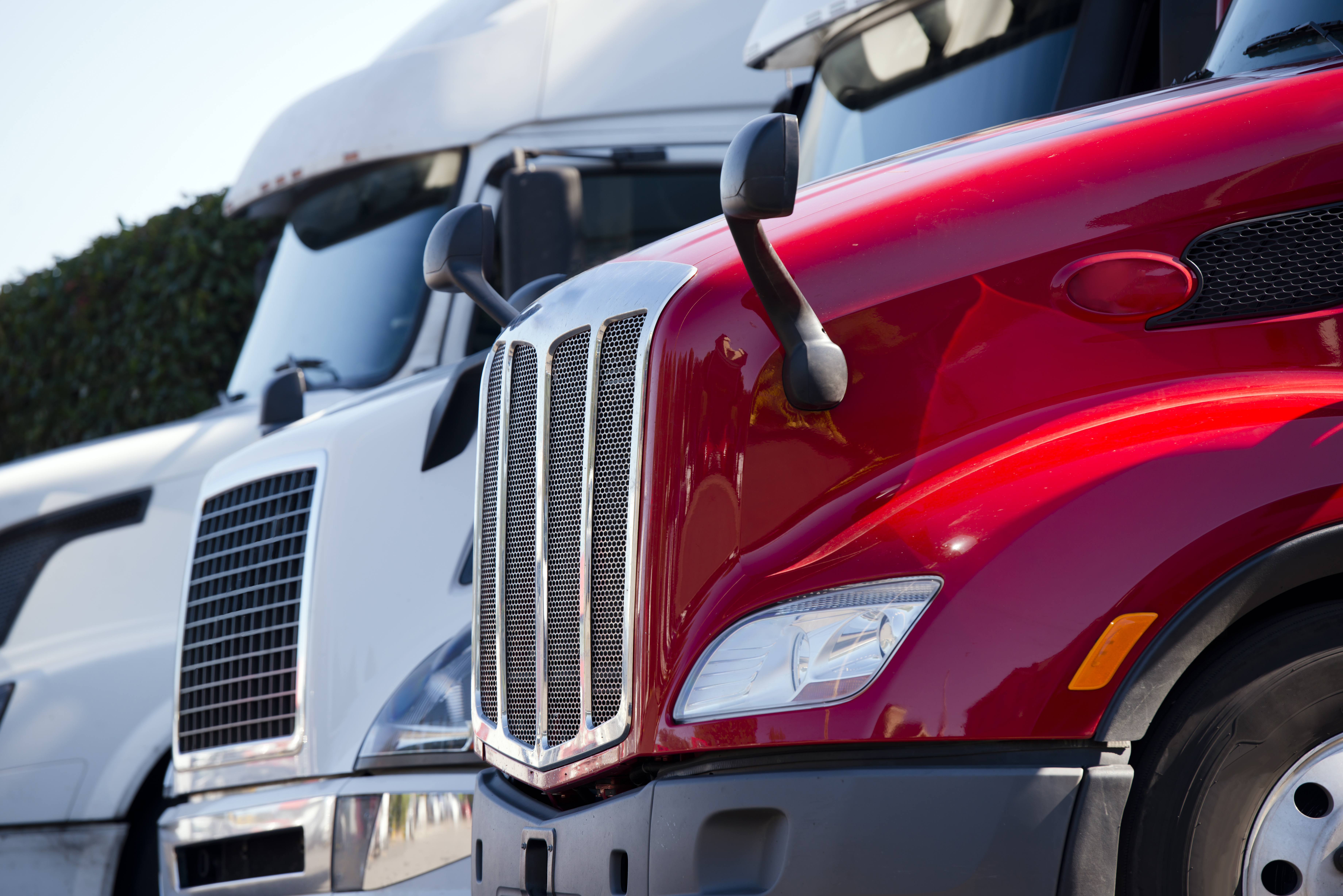White And Red Trucks In A Lot
