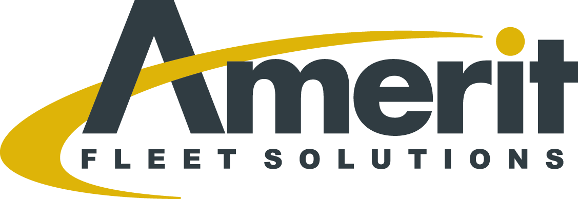 Amerit Logo 4c