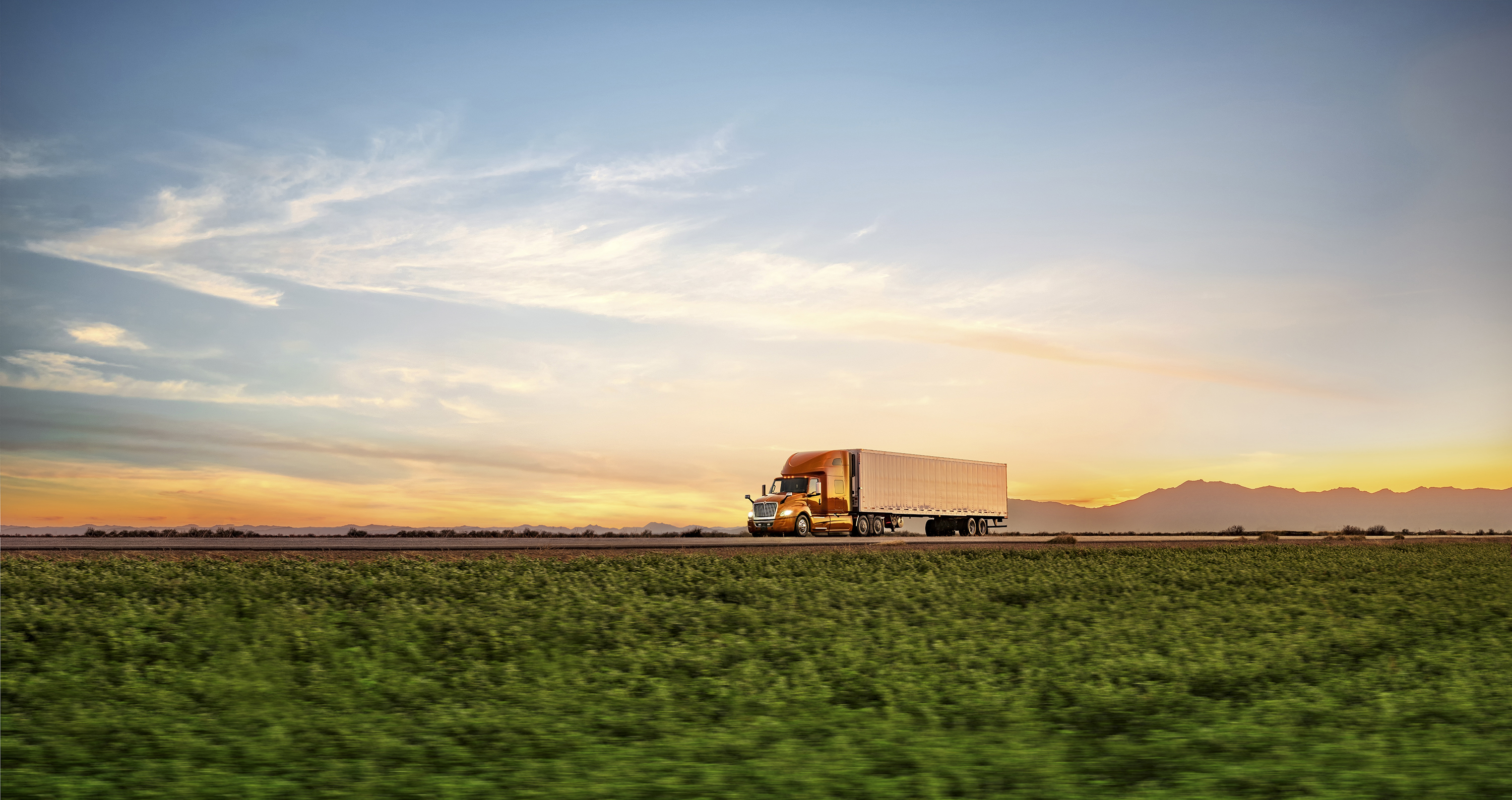 A Michigan jury sided with International in a lawsuit brought by a leasing company and affiliated fleet over allegedly delayed trucks.