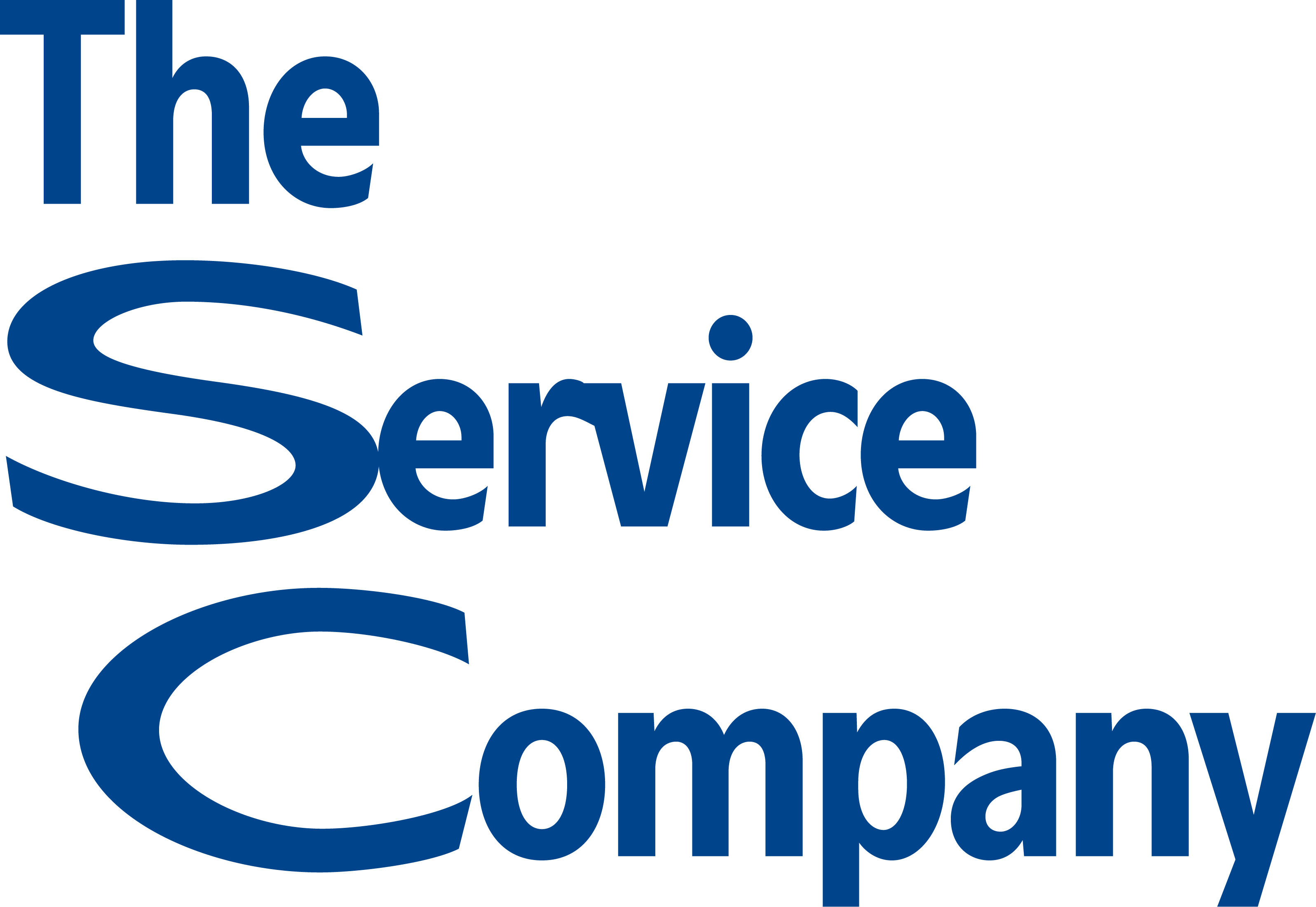 Copy Of The Service Company Logo 2024 Blue (15)