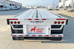 Great Dane