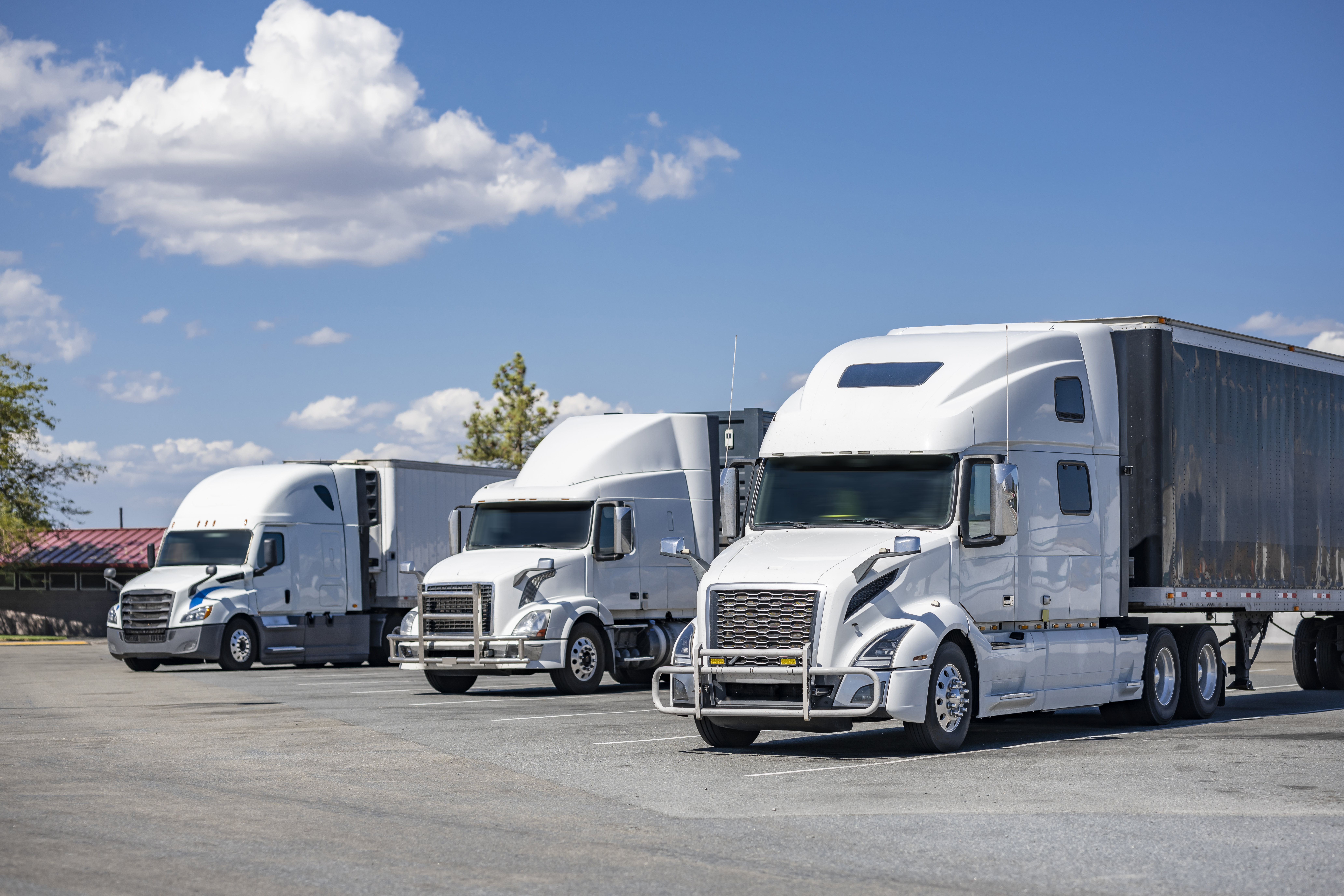 Three White Trucks In A Lot