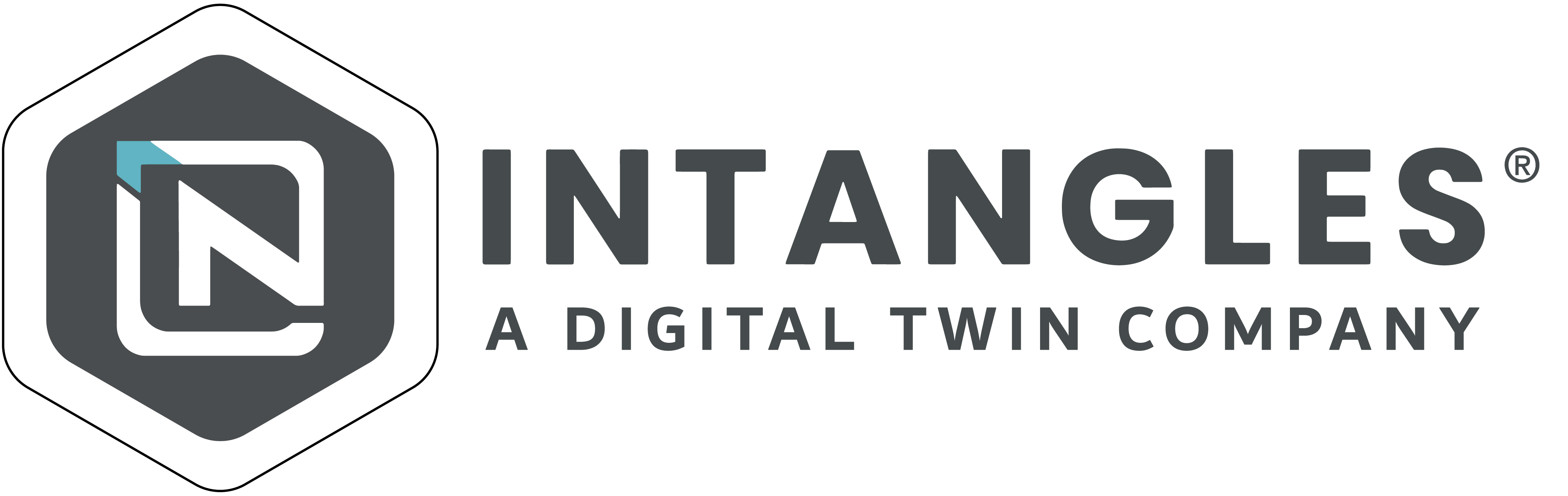 Intangles┬« Na Logo Grey