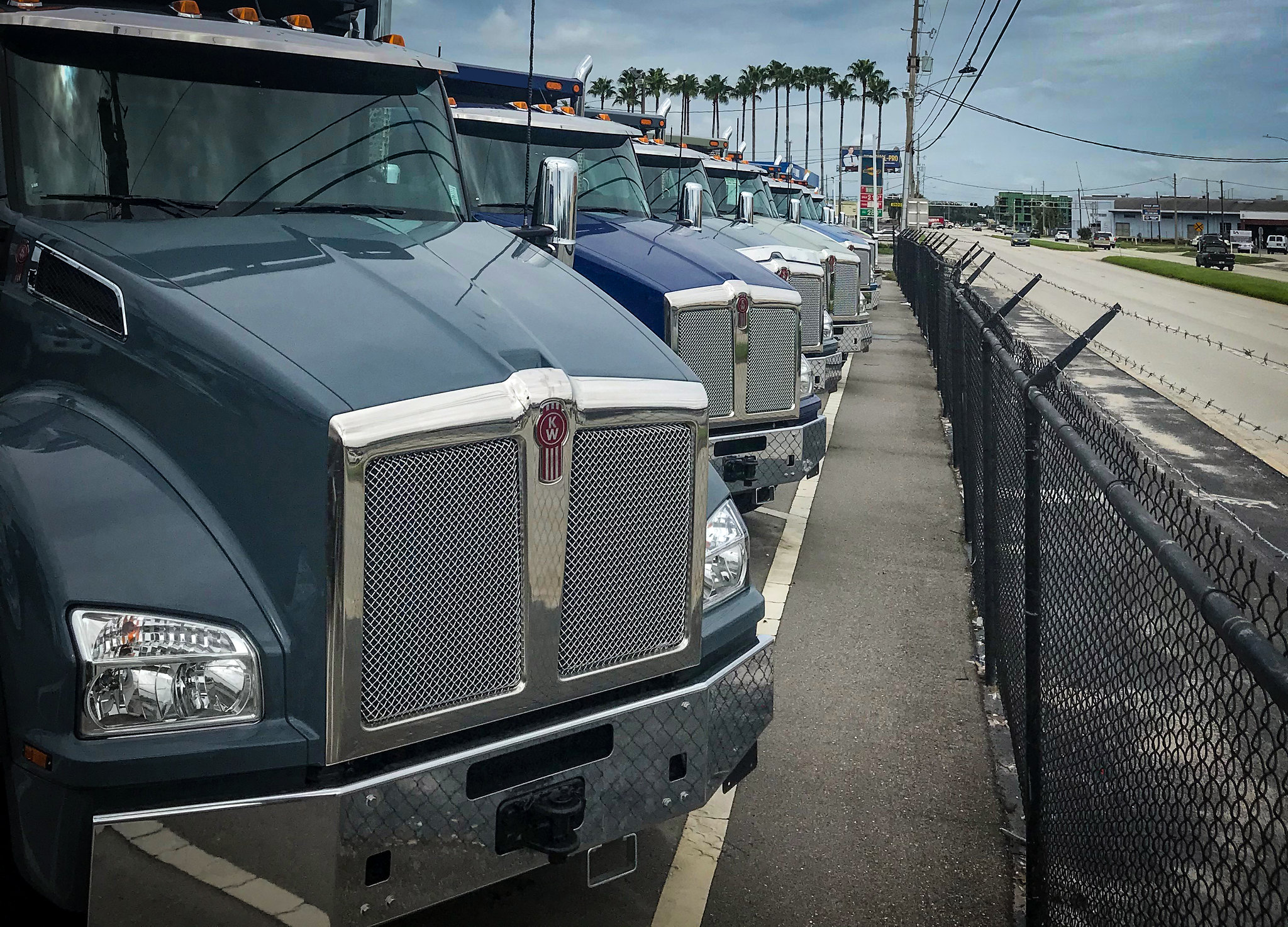 Row of International commercial trucks parked at a dealership with palm trees and industrial facility in background