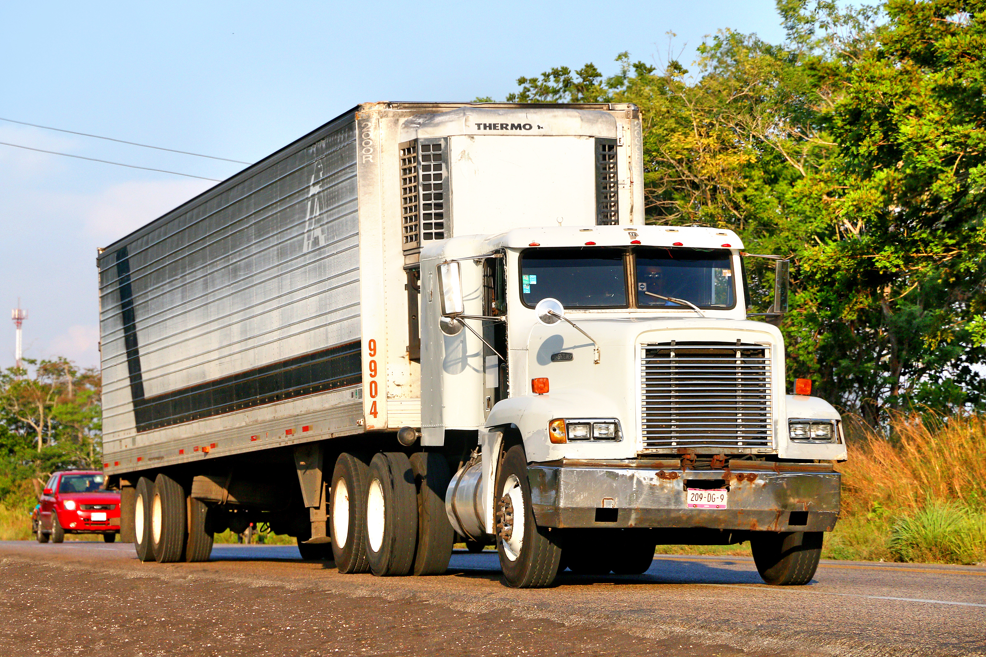 White refrigerated semi-truck with Thermo King cooling unit parked on roadside with trees and red car visible